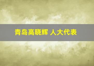 青岛高晓辉 人大代表